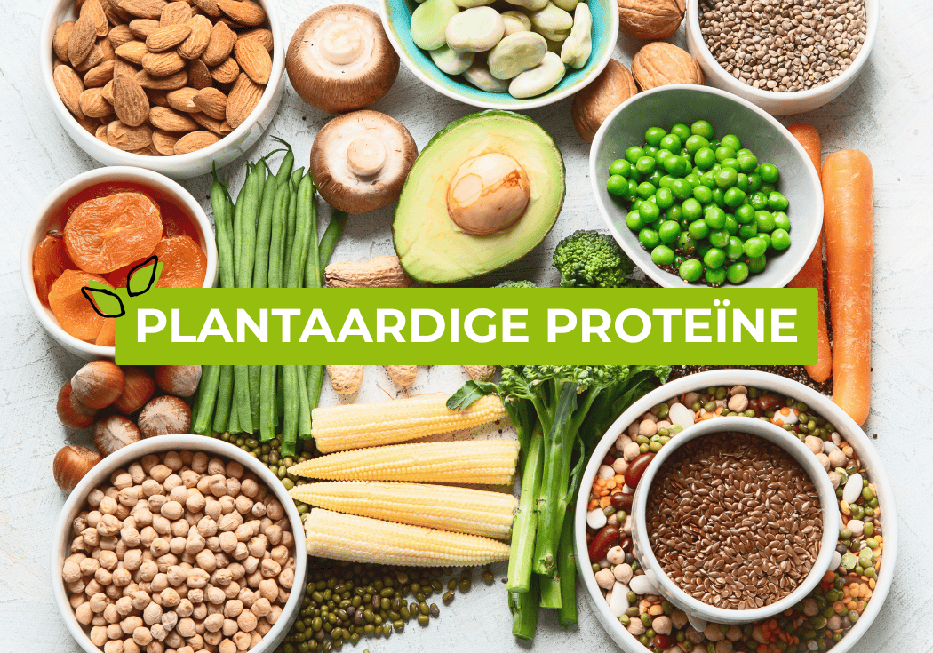 Plantaardige proteïne: goed voor jou én de planeet