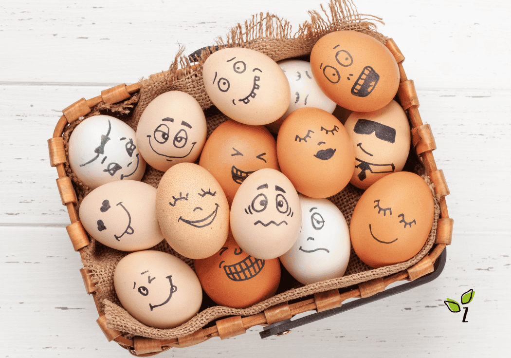 Eiwitten: jouw beste vriend voor een sterk, gezond en energiek lijf