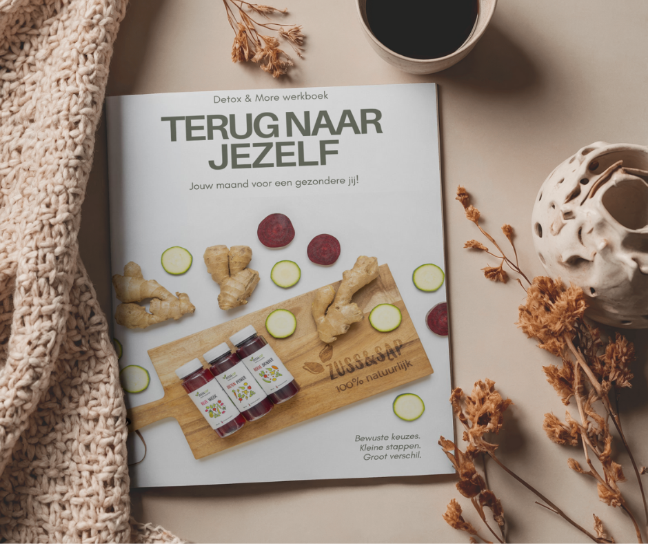 Het werkboek van Detox & More