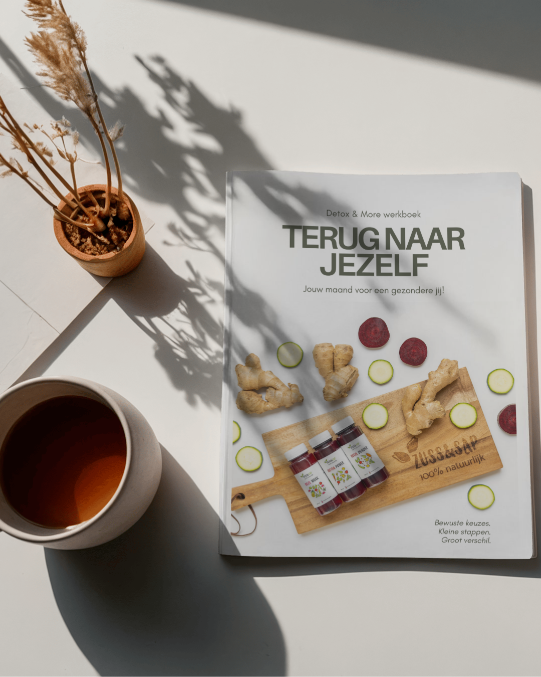 Werkboek behorende bij het programma Detox & More met de titel: Terug naar jezelf