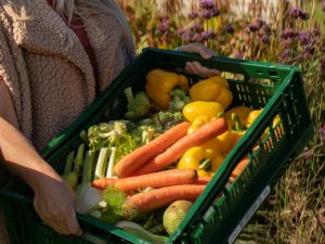 Een kist vol met heerlijke verse groenten voor tijdens Detox & More van Zuss & Sap
